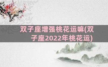 双子座增强桃花运嘛(双子座2022年桃花运)