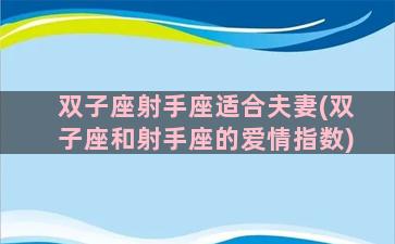 双子座射手座适合夫妻(双子座和射手座的爱情指数)