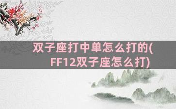 双子座打中单怎么打的(FF12双子座怎么打)