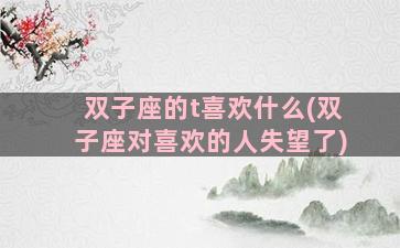 双子座的t喜欢什么(双子座对喜欢的人失望了)