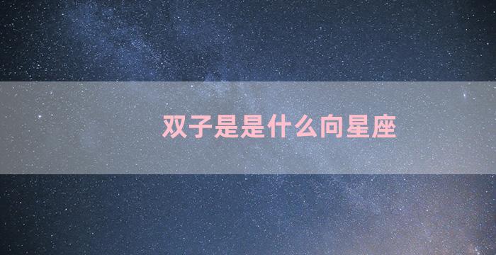 双子是是什么向星座