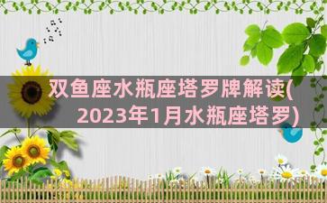 双鱼座水瓶座塔罗牌解读(2023年1月水瓶座塔罗)