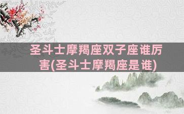 圣斗士摩羯座双子座谁厉害(圣斗士摩羯座是谁)