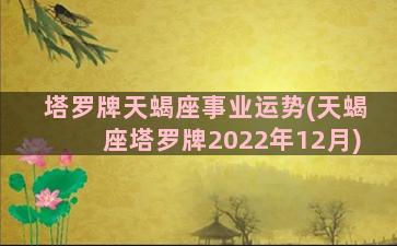 塔罗牌天蝎座事业运势(天蝎座塔罗牌2022年12月)