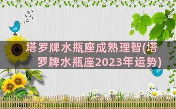 塔罗牌水瓶座成熟理智(塔罗牌水瓶座2023年运势)