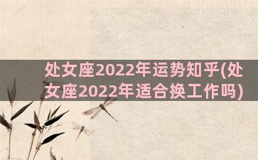 处女座2022年运势知乎(处女座2022年适合换工作吗)