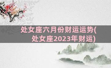 处女座六月份财运运势(处女座2023年财运)