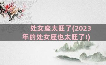 处女座太旺了(2023年的处女座也太旺了!)