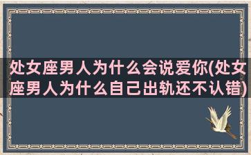 处女座男人为什么会说爱你(处女座男人为什么自己出轨还不认错)