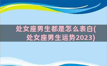 处女座男生都是怎么表白(处女座男生运势2023)