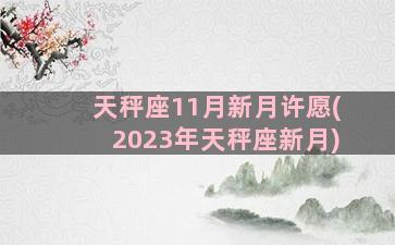 天秤座11月新月许愿(2023年天秤座新月)