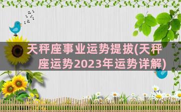 天秤座事业运势提拔(天秤座运势2023年运势详解)