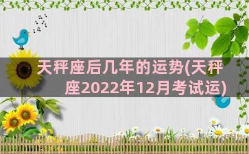 天秤座后几年的运势(天秤座2022年12月考试运)