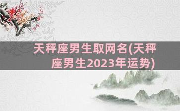 天秤座男生取网名(天秤座男生2023年运势)