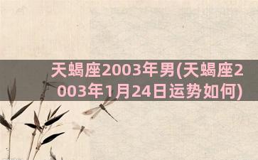 天蝎座2003年男(天蝎座2003年1月24日运势如何)