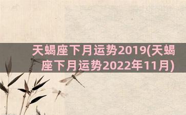 天蝎座下月运势2019(天蝎座下月运势2022年11月)