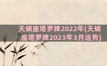 天蝎座塔罗牌2022年(天蝎座塔罗牌2023年3月运势)