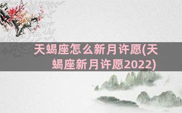 天蝎座怎么新月许愿(天蝎座新月许愿2022)