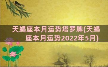 天蝎座本月运势塔罗牌(天蝎座本月运势2022年5月)