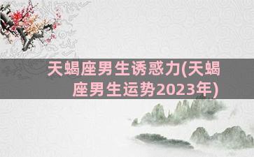 天蝎座男生诱惑力(天蝎座男生运势2023年)