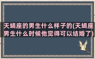 天蝎座的男生什么样子的(天蝎座男生什么时候他觉得可以结婚了)