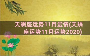 天蝎座运势11月爱情(天蝎座运势11月运势2020)