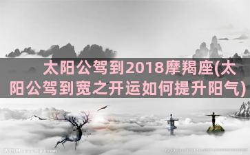 太阳公驾到2018摩羯座(太阳公驾到宽之开运如何提升阳气)