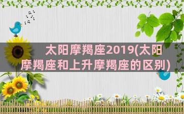 太阳摩羯座2019(太阳摩羯座和上升摩羯座的区别)