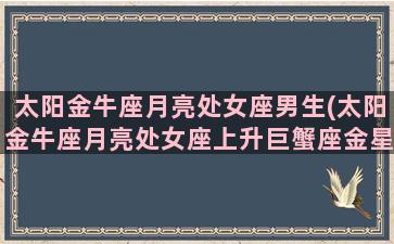 太阳金牛座月亮处女座男生(太阳金牛座月亮处女座上升巨蟹座金星双子男生)