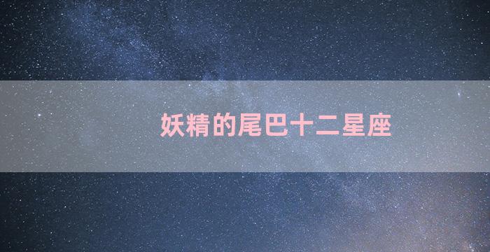 妖精的尾巴十二星座