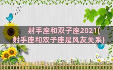 射手座和双子座2021(射手座和双子座是风友关系)