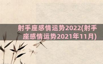 射手座感情运势2022(射手座感情运势2021年11月)