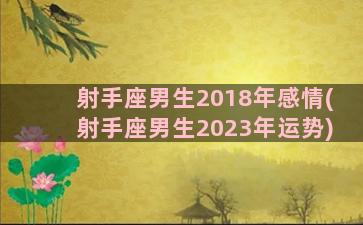 射手座男生2018年感情(射手座男生2023年运势)