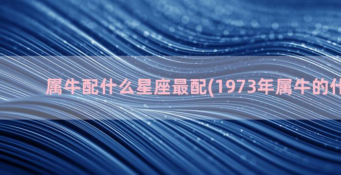 属牛配什么星座最配(1973年属牛的什么星座)