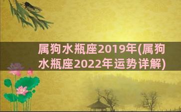 属狗水瓶座2019年(属狗水瓶座2022年运势详解)