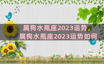 属狗水瓶座2023运势，属狗水瓶座2023运势如何