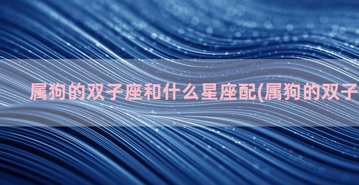 属狗的双子座和什么星座配(属狗的双子座和什么)