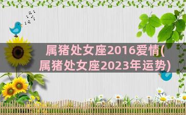 属猪处女座2016爱情(属猪处女座2023年运势)