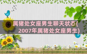 属猪处女座男生聊天状态(2007年属猪处女座男生)