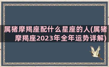 属猪摩羯座配什么星座的人(属猪摩羯座2023年全年运势详解)