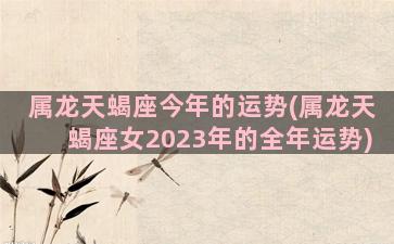 属龙天蝎座今年的运势(属龙天蝎座女2023年的全年运势)