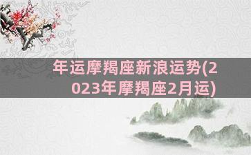 年运摩羯座新浪运势(2023年摩羯座2月运)