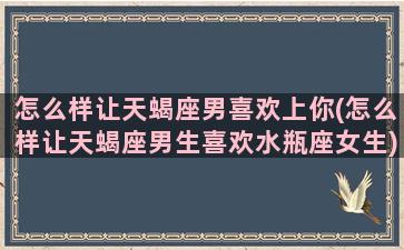 怎么样让天蝎座男喜欢上你(怎么样让天蝎座男生喜欢水瓶座女生)