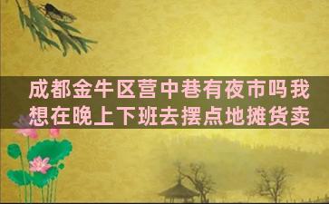 成都金牛区营中巷有夜市吗我想在晚上下班去摆点地摊货卖