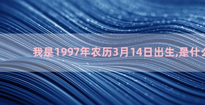 我是1997年农历3月14日出生,是什么星座呢