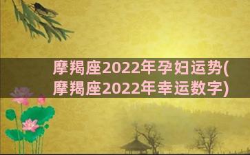 摩羯座2022年孕妇运势(摩羯座2022年幸运数字)