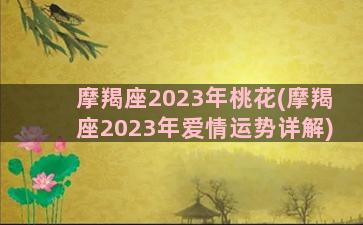 摩羯座2023年桃花(摩羯座2023年爱情运势详解)