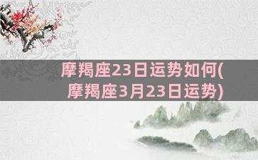 摩羯座23日运势如何(摩羯座3月23日运势)