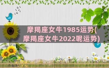 摩羯座女牛1985运势(摩羯座女牛2022呢运势)