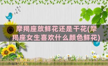 摩羯座放鲜花还是干花(摩羯座女生喜欢什么颜色鲜花)